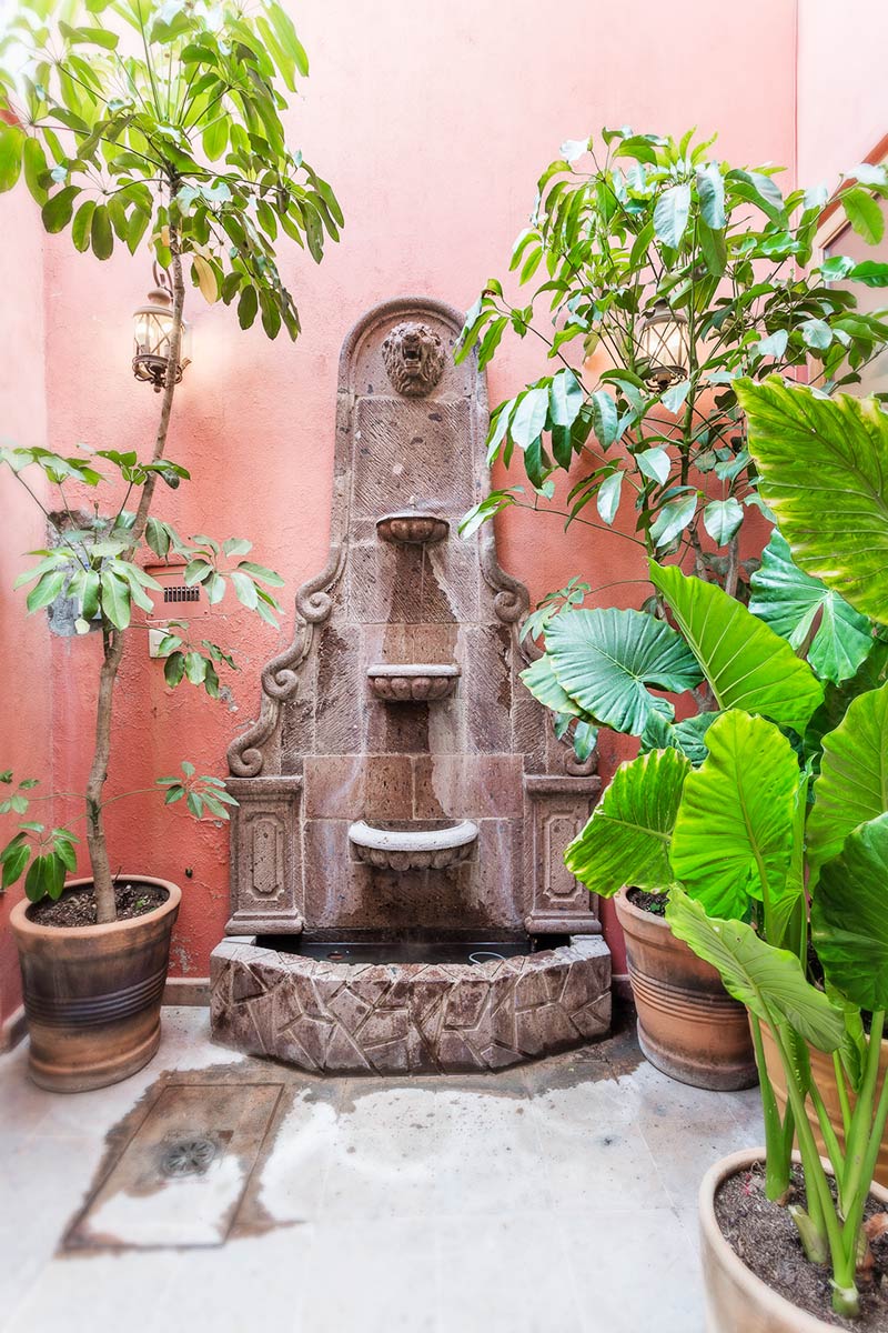 Entry to Casa de la Vista shows a courtyard, stone plants, natural light, and plants.