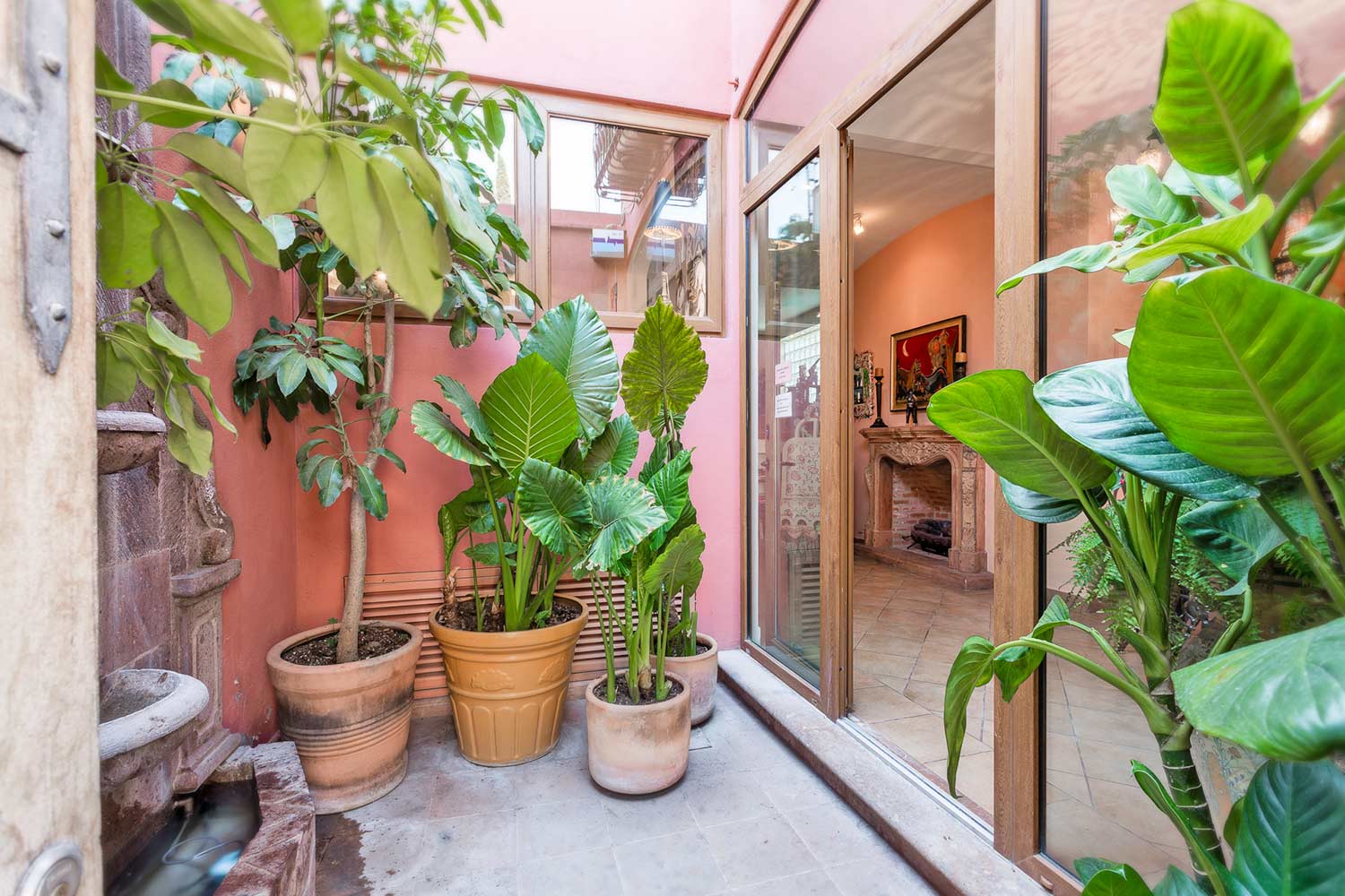 Entry to Casa de la Vista shows a courtyard, stone plants, natural light, and plants.